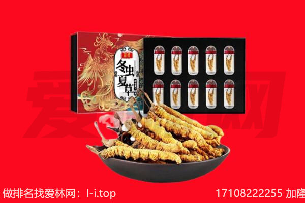 达州渠县回收虫草.jpg